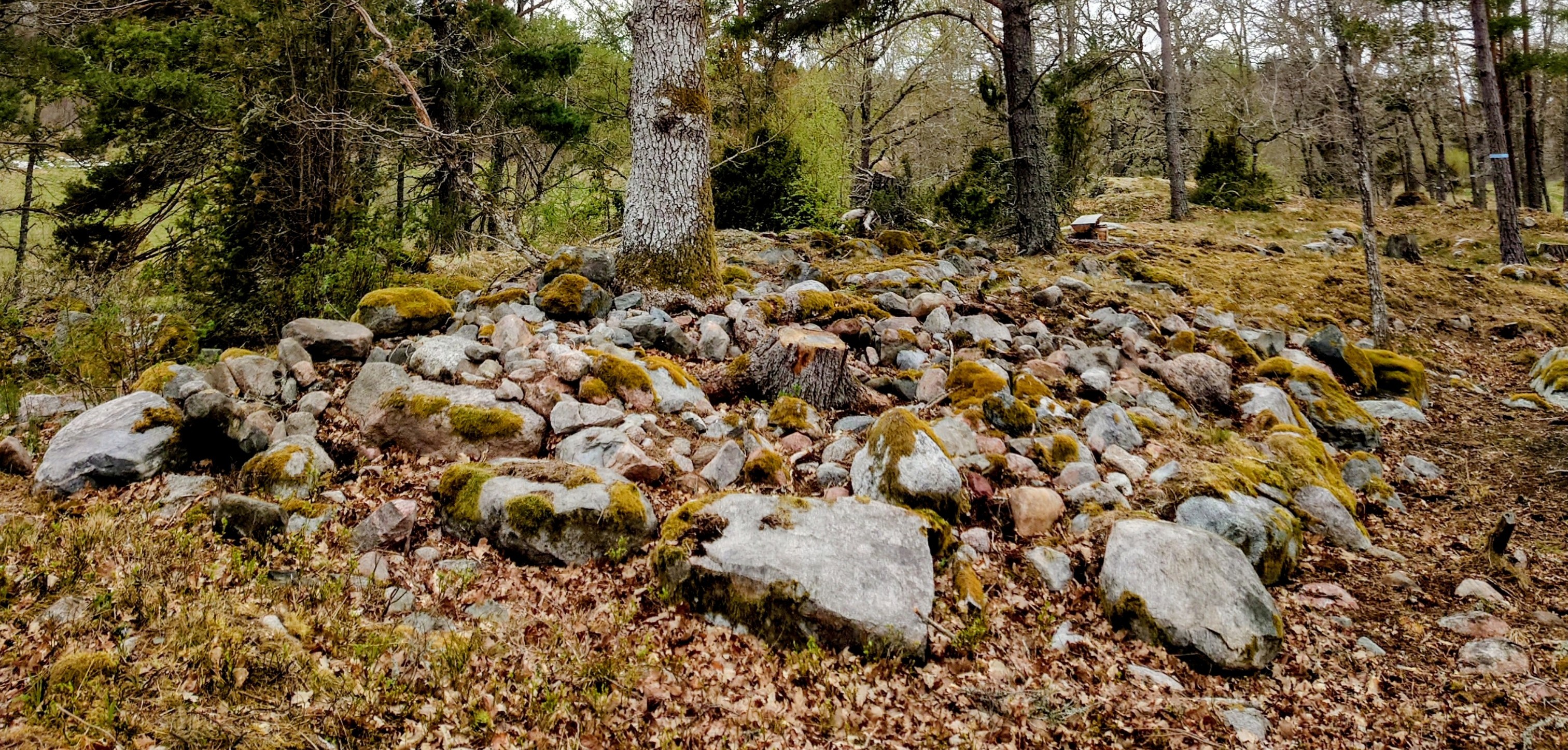 Arkeologisk guidning på Spökbacken, Söderön