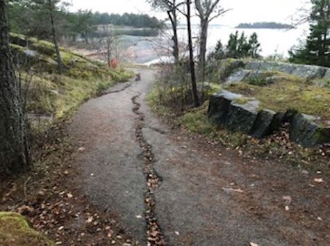 trasiga vägar tallparken.JPG
