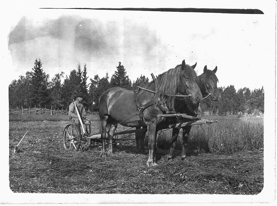 Bildspel med fotografier från Söderön