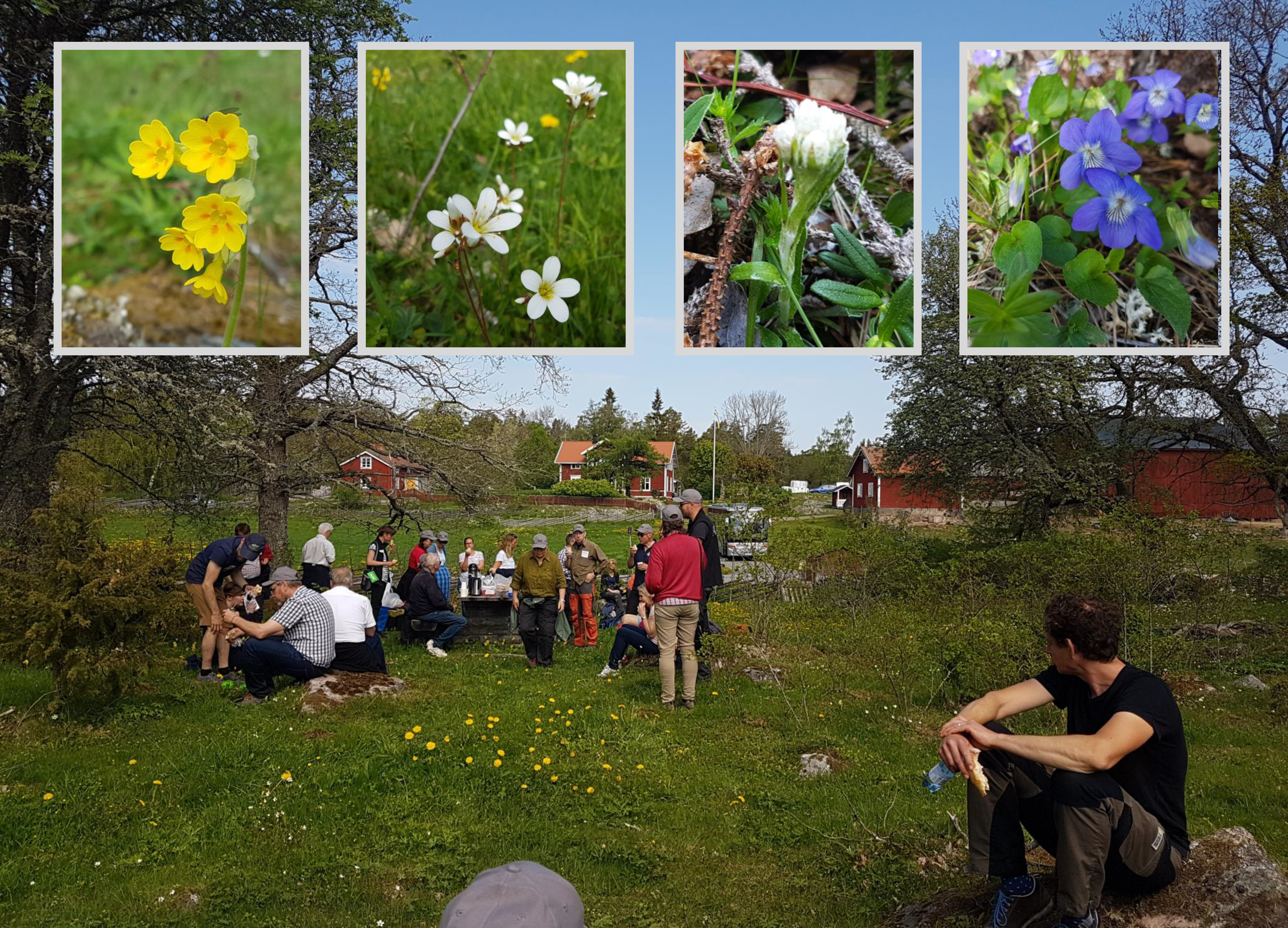 Biologiska mångfaldens dag 2019