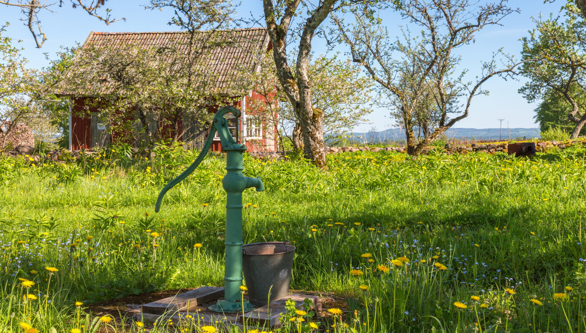 gammal-vattenpump-i-en-blommande-tradgard-pa-landet.jpg