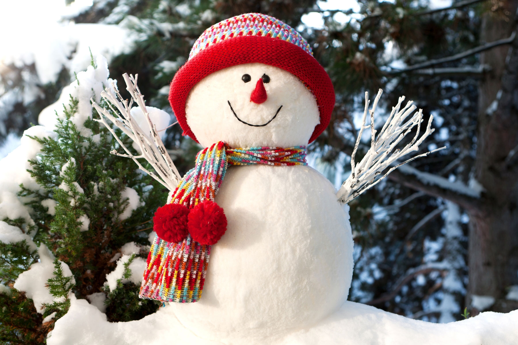 1469179-snowman.jpg