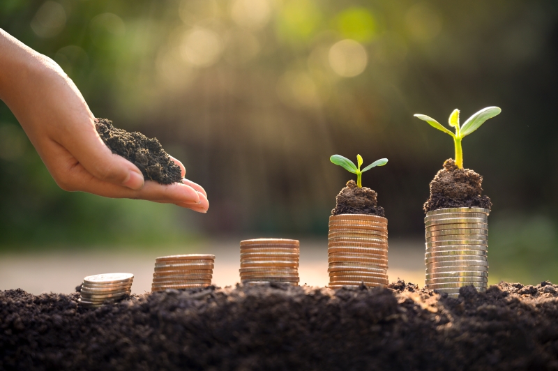 33947208-money-growth-saving-money-upper-tree-coins-to-shown.jpg