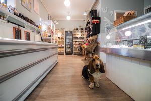 Fastbols gårdsbutik med hund