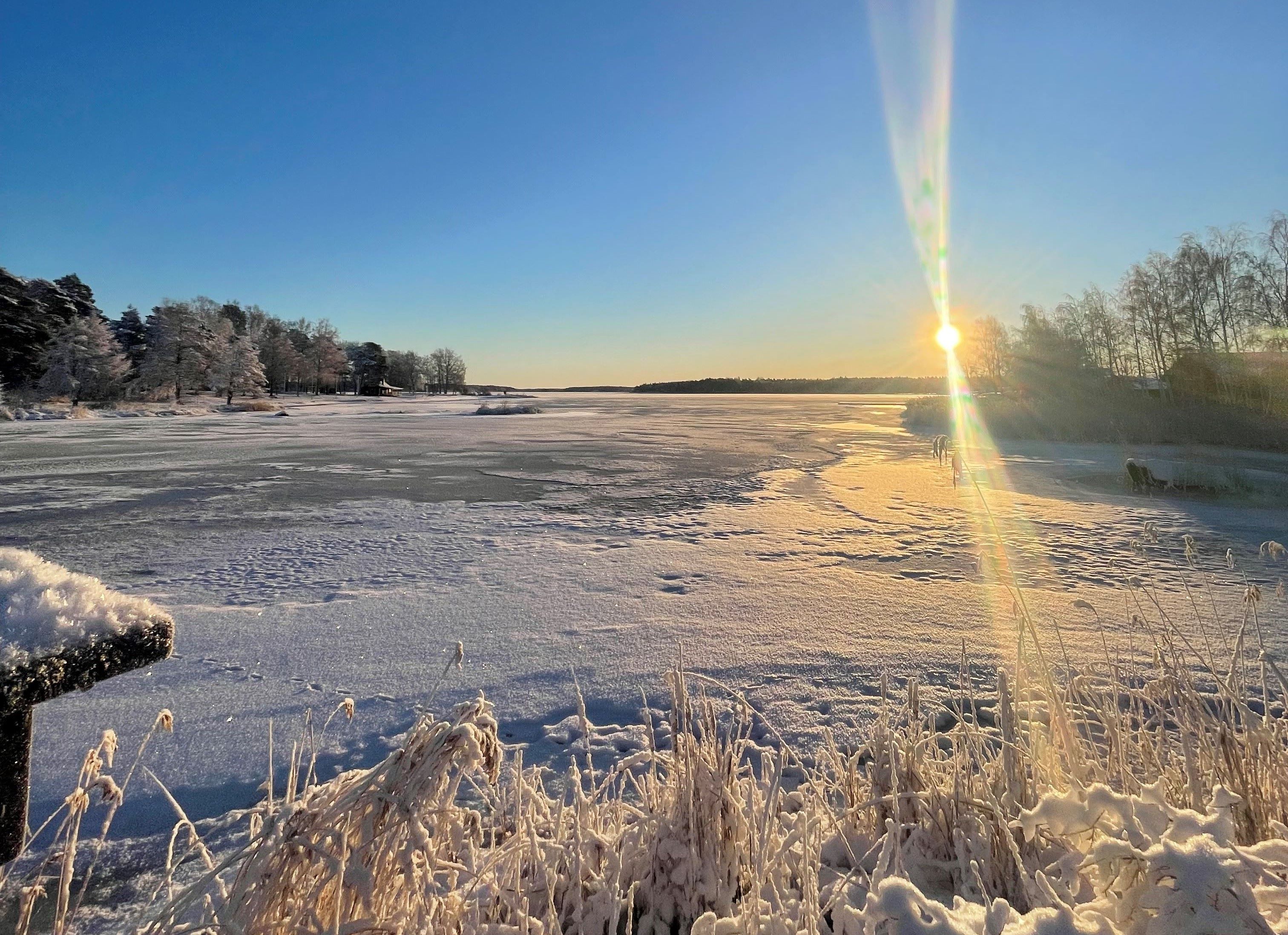 Krutan snö.jpg