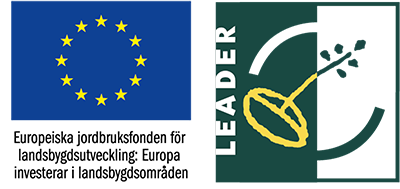 Leader EU logo