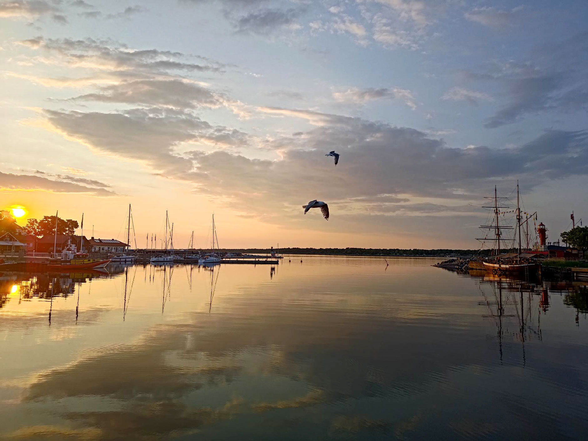 Öregrund-hamn-2.jpg