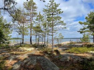 Öregrund Tallparken