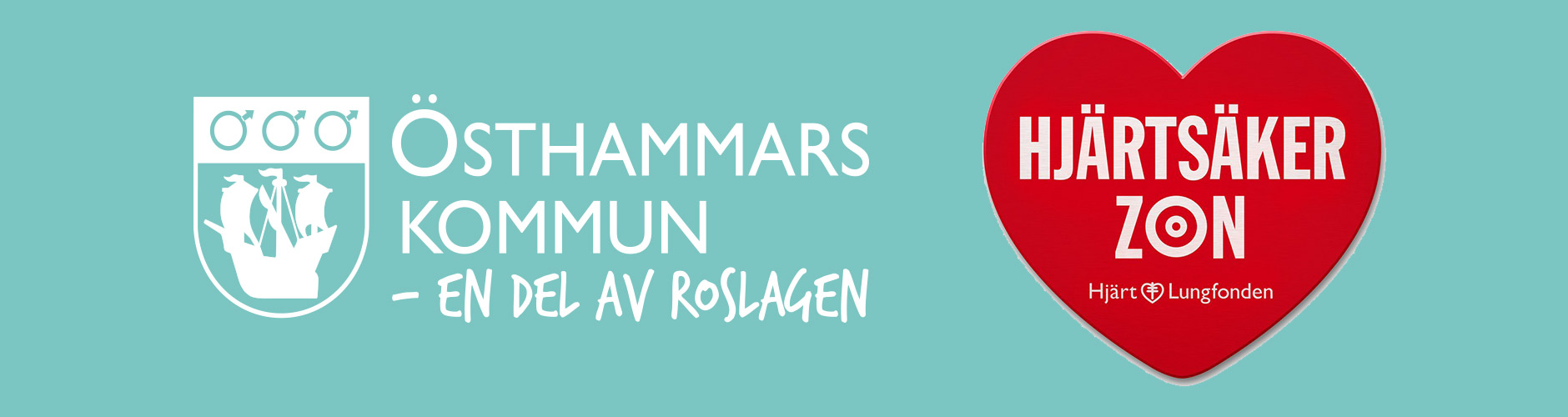 hjartsaker_zon.jpg